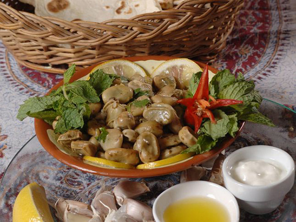 فول بالزيت مع اللبن: طبق بارد