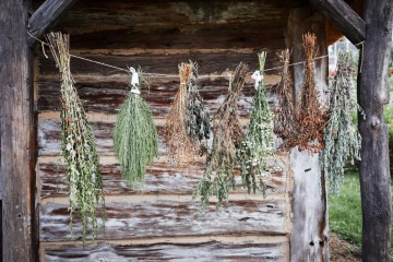 الطريقة المثلى لتجفيف الأعشاب لاستخدامها في وقت لاحق