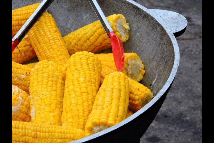 الذرة المسلوقة