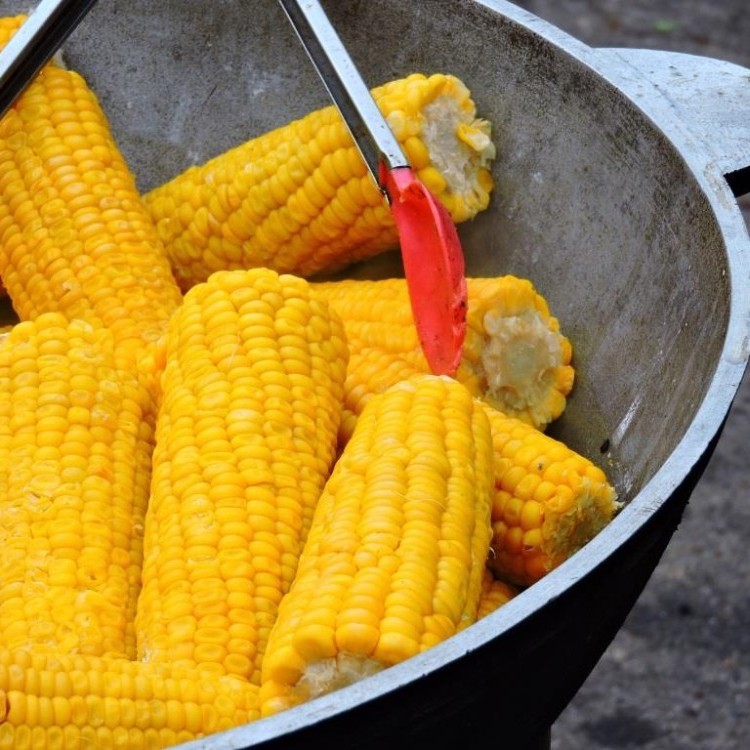 الذرة المسلوقة