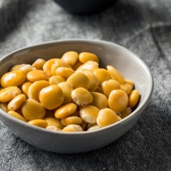 الترمس المر