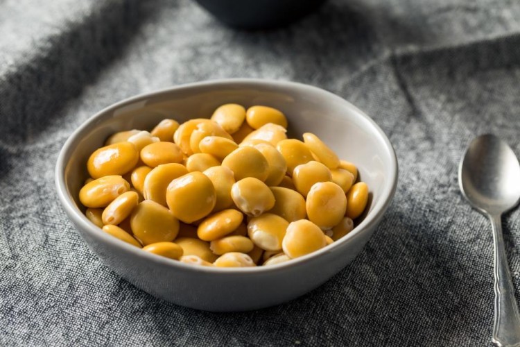 الترمس المر