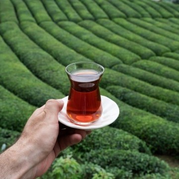 فوائد الشاي الصحية للجسم