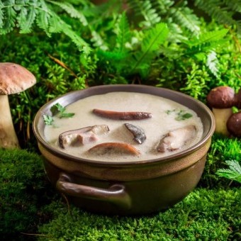 شوربة الفطر بالحليب