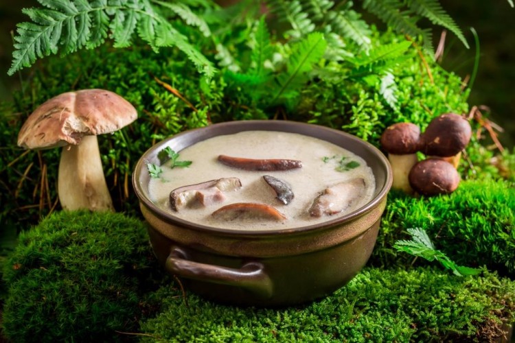 شوربة الفطر بالحليب
