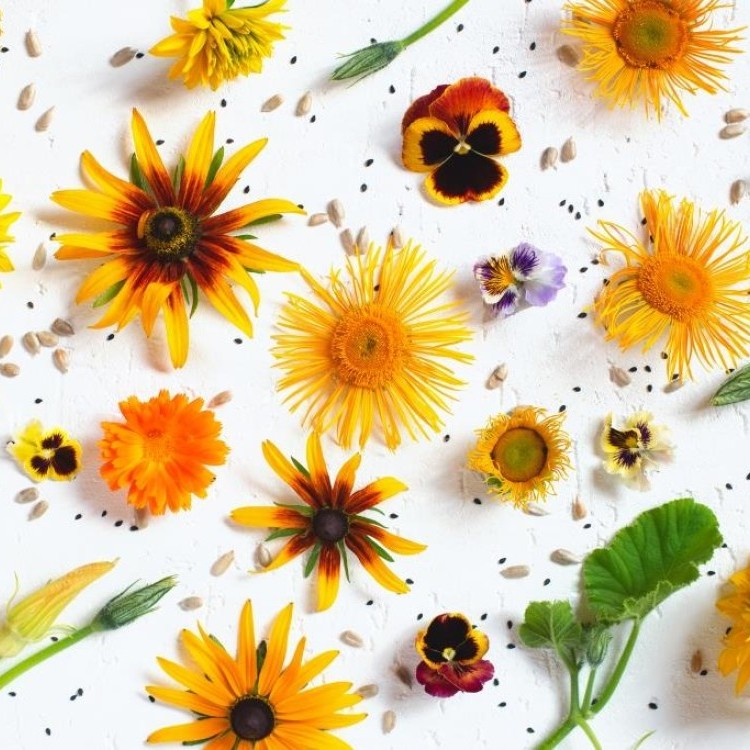 طرق طبيعية مبتكرة لاستخدام التوابل في حفظ الطعام