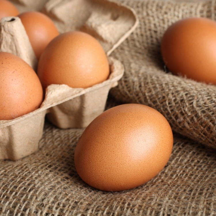 كيف تميزين بين البيض الطازج وغير الطازج