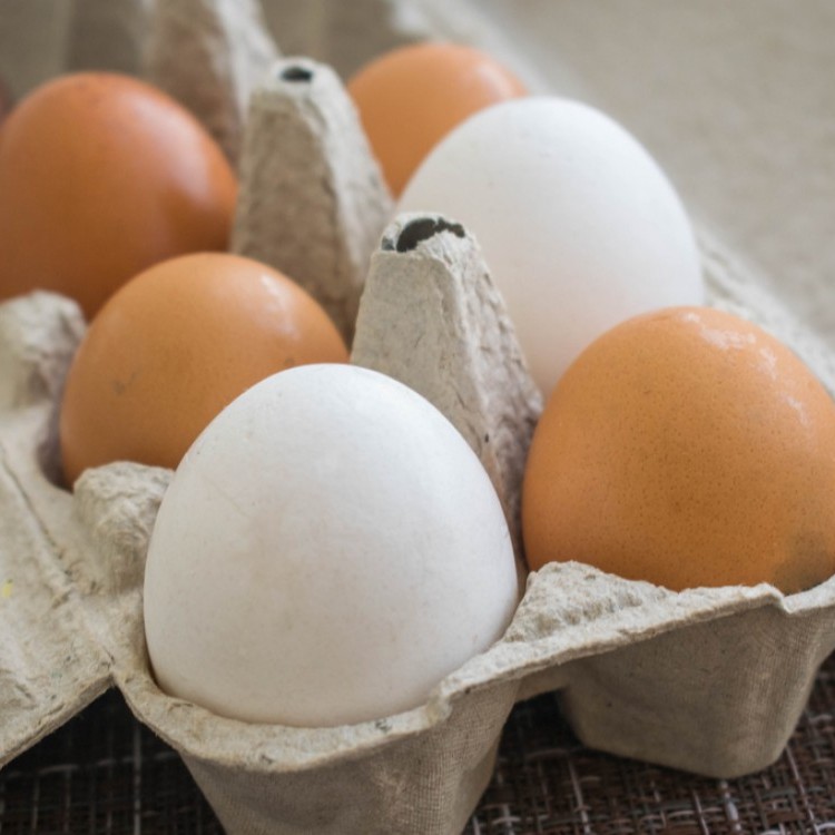 ما الفرق بين البيض البني والبيض الأبيض