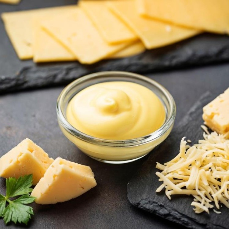 صوص الجبن الشيدر