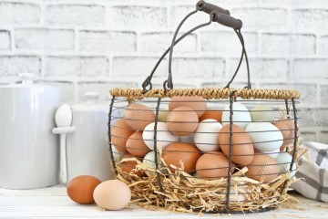 يوم البيض 11 أكتوبر: احتفال بوصفات لا تنتهي أفكارها