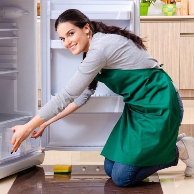 طرق مساعدة في التخلّص من العفن الملوّث للثلّاجة