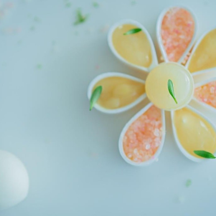 زهرة الليمون