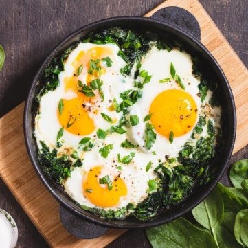 الشكشوكة الخضراء للفطور