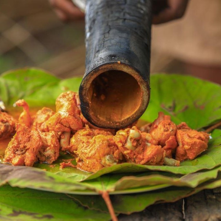 دجاج البامبو