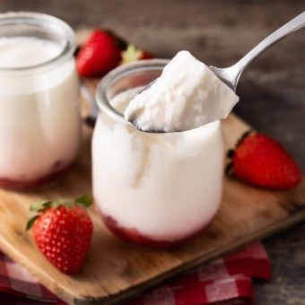 الزبادي المنزلي