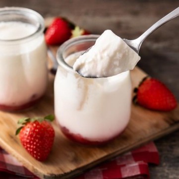 الزبادي المنزلي