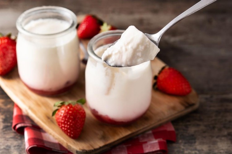 الزبادي المنزلي