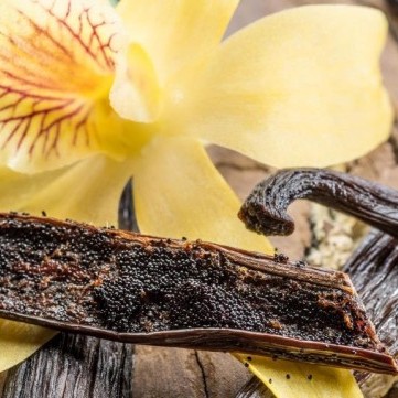 طرق تحسين مذاق الحلويات باستخدام الفانيليا