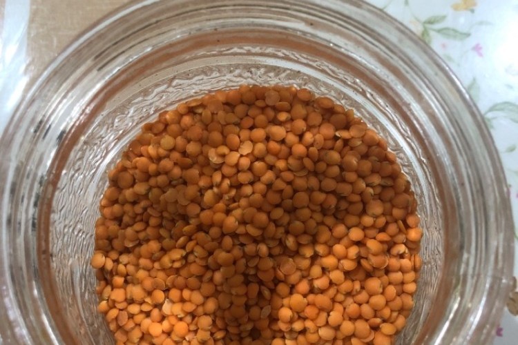 شوربة خضار وعدس