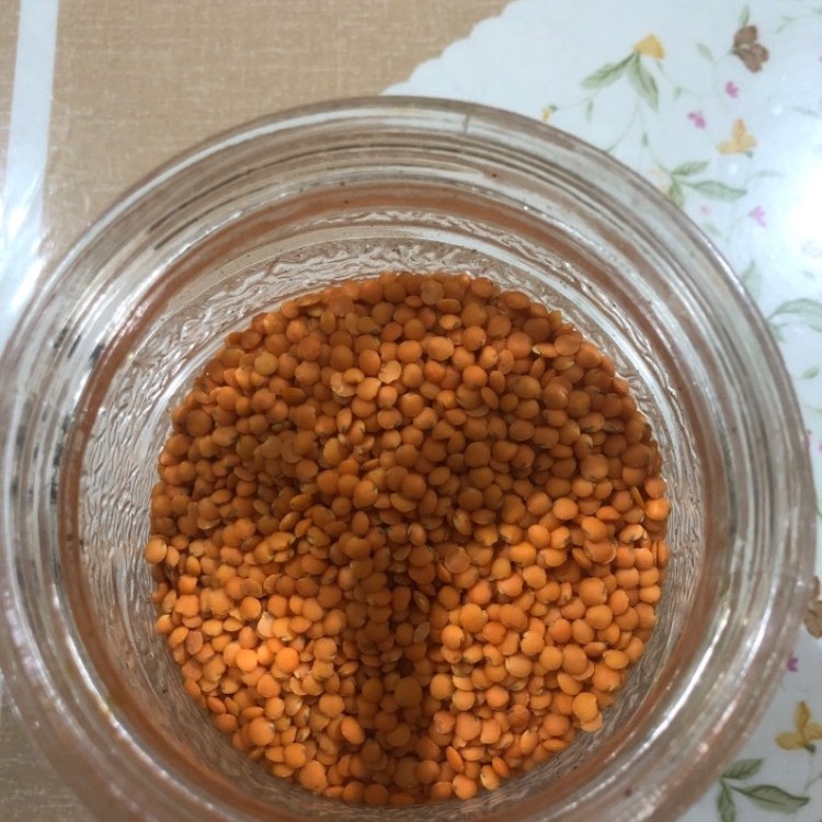 شوربة خضار وعدس
