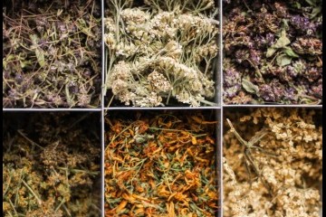 الفرق بين التوابل الطازجة والمجففة ومتى تستخدمين كل نوع؟