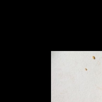 البيتيفور بالزبدة والمكسرات