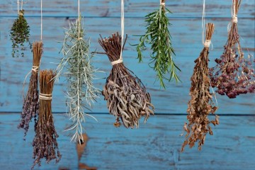 الطرق المثالية لتجفيف الأعشاب لاستخدامها في وقت لاحق