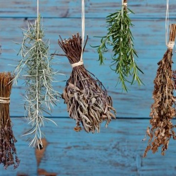 الطرق المثالية لتجفيف الأعشاب لاستخدامها في وقت لاحق