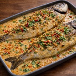 سمكة دنيس حرة