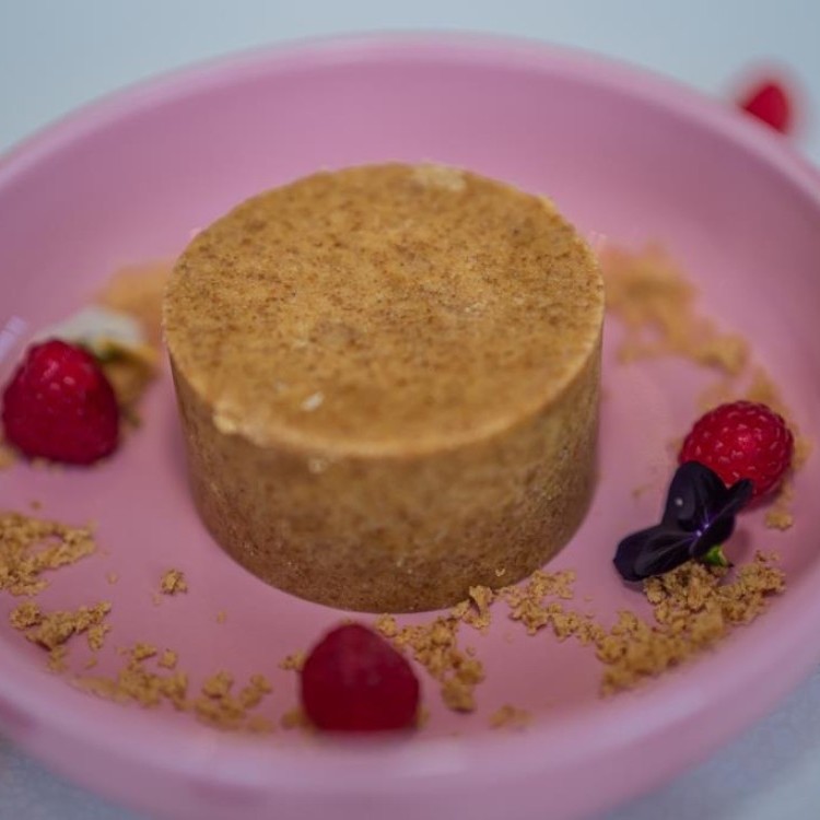 تشيز كيك اكسرني بالتوت البري