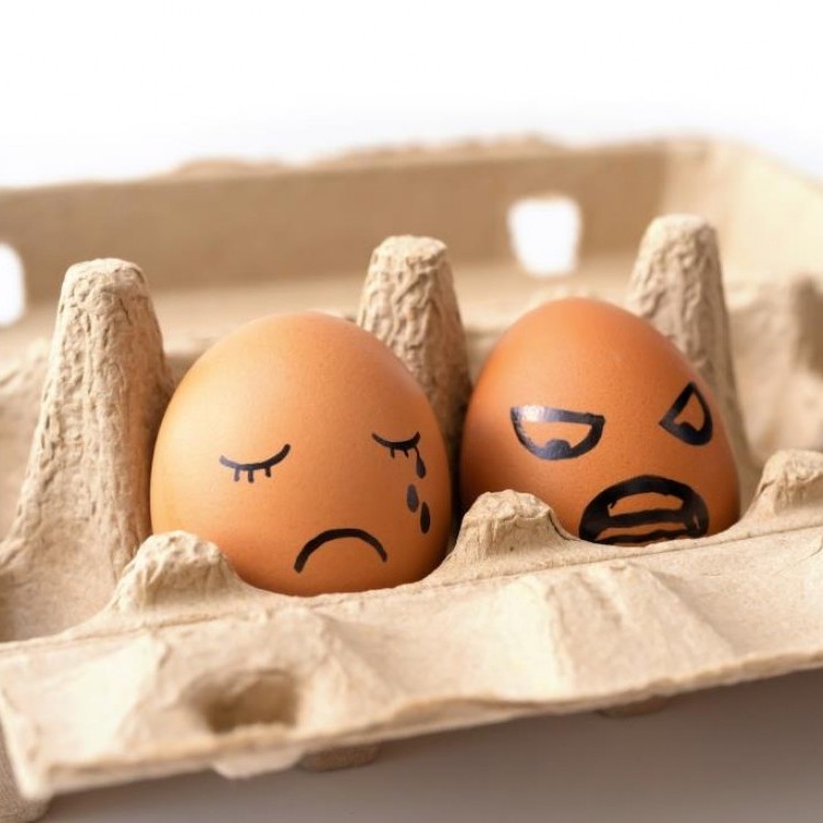 بدائل البيض في الحلويات .. وهل يمكن الخبز من دونه؟