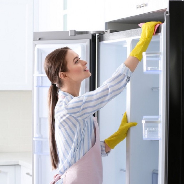 طرق إزالة العفن من الثلاجة