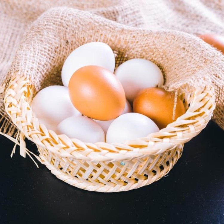 كيف نميز البيض الفاسد؟ و3 وصفات جربيها في مطبخك