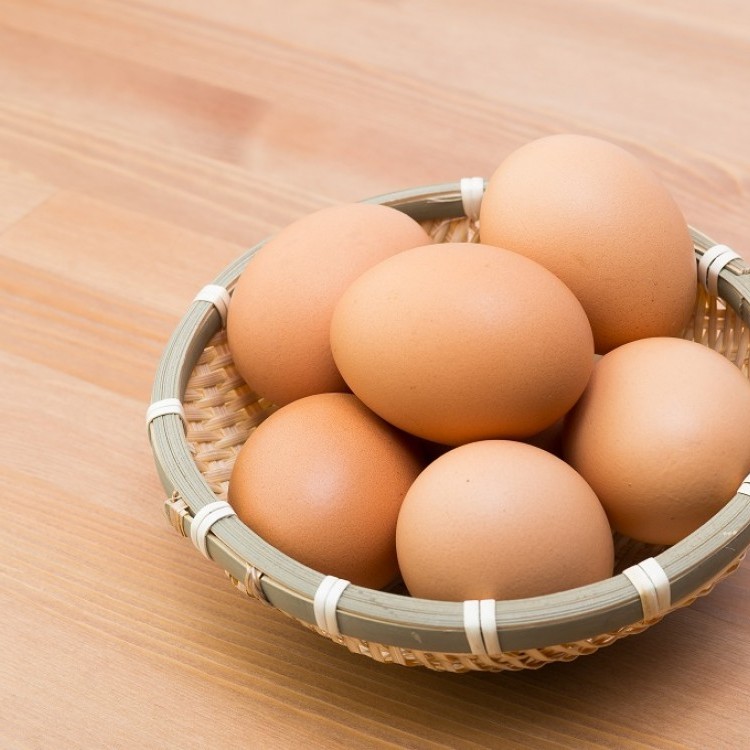 طرق حفظ البيض