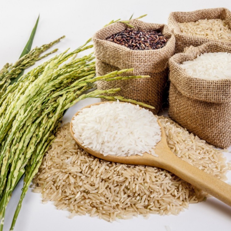 ما هي البدائل الصحية للأرز الأبيض؟