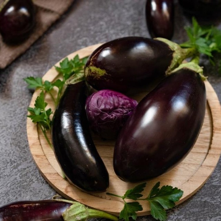 يوم الباذنجان العالمي في 17 أغسطس و4 وصفات شهية لا تقاوم